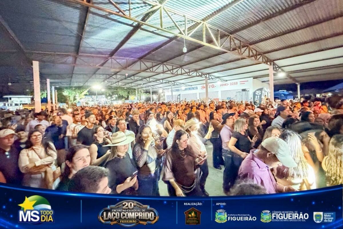 Imagem da Galeria